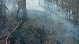 Personil BPBD Kabupaten Aceh Besar memadamkan kebakaran lahan di Kecamatan Lembah Seulawah. (BPBD Kabupaten Aceh Besar)